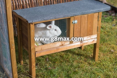 Small Rabbit Hutch