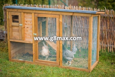 Large Coop