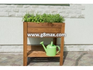 Four sections vegetable bed