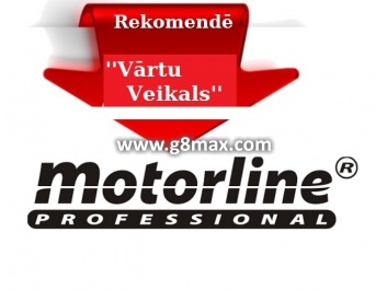 MOTORLINE PROFESSIONAL
