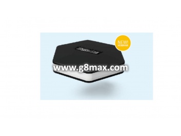 Signal Light - MOTORLINE PROFESSIONAL 12/24/220V